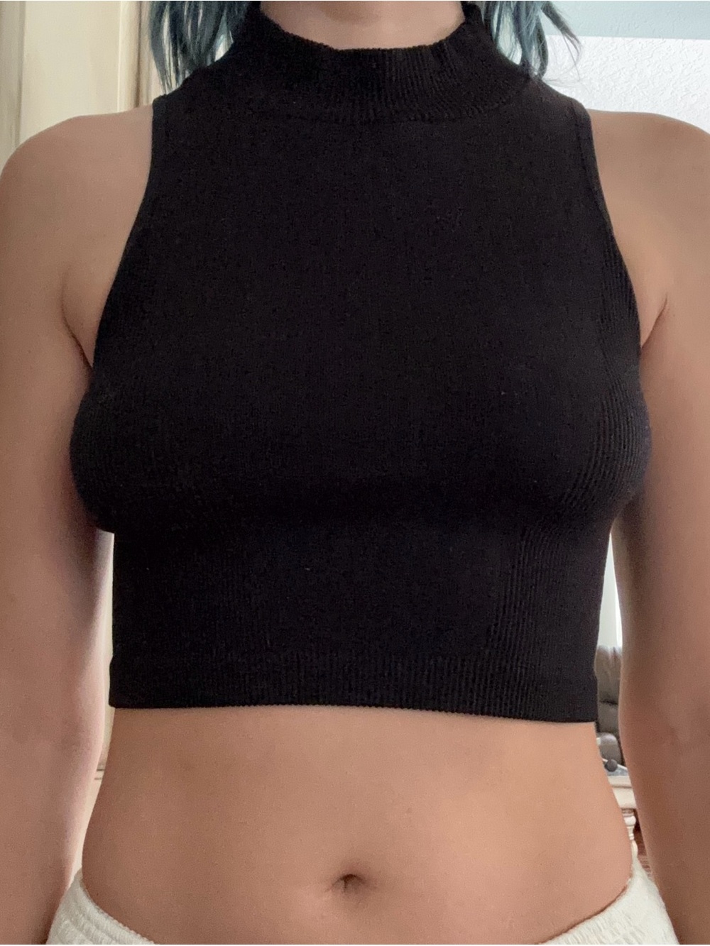 Black Cropped Sleeveless Turtleneck